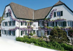  Rhein River Guesthouse - Art Hotel on the Rhine  Леверкузен